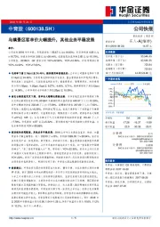 乌镇景区客单价大幅提升，其他业务平稳发展