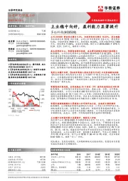 主业稳中向好，盈利能力显著提升