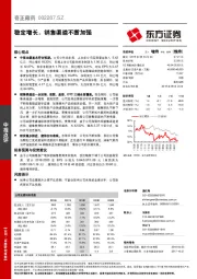 稳定增长，销售渠道不断加强