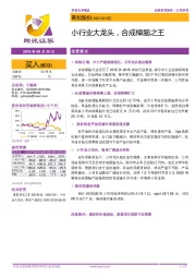 小行业大龙头,合成樟脑之王