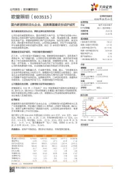 国内家居照明龙头企业，品牌渠道建设形成护城河