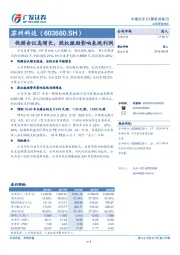 视频会议高增长，股权激励影响表观利润