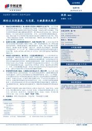 深度研究报告：烟标主业迎春来，大包装、大健康渐次展开