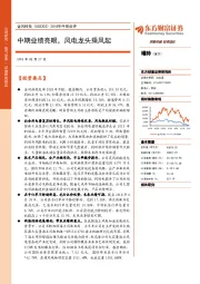 2018年中报点评:中期业绩亮眼,风电龙头乘风起