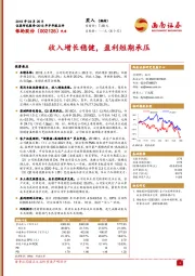 收入增长稳健，盈利短期承压钟奇