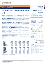Q2业绩4.5亿,看好有机硅景气继续上移