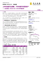 2018年中报点评：上半年业绩不达预期，下半年看矿砂项目投产