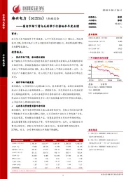 国内市场下滑与毛利率下行影响半年度业绩