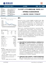 半年报点评:子公司停产上半年业绩增长放缓,转型进入电子材料领域公司发展迎来新机遇
