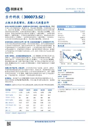 半年报点评：正极业务高增长，高镍三元放量在即