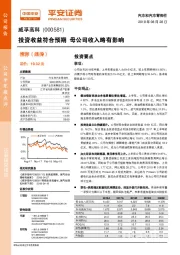 投资收益符合预期 母公司收入略有影响