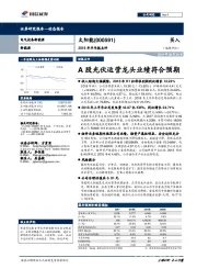 2018年半年报点评：A股光伏运营龙头业绩符合预期