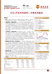 内生+外延共同驱动，业绩表现靓丽