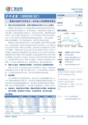 高端次高端产品齐发力，全年收入有望维持高增长