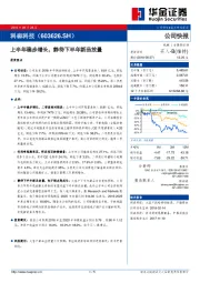 上半年稳步增长，静待下半年新品放量
