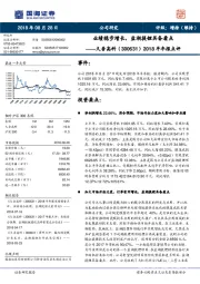 2018半年报点评：业绩稳步增长，盐湖提锂具备看点