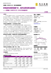 2018年中报点评：发电装机规模稳健扩张，组件业务拖累业绩增长