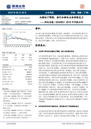 2018半年报点评：业绩低于预期，海外和锂电业务持续发力