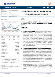 半年报点评：二季度业绩环比大幅改善，降本增效成果显著