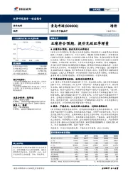 2018年中报点评：业绩符合预期，提价见效旺季增量