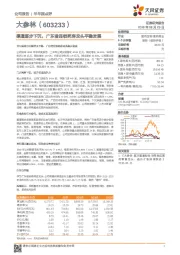 渠道逐步下沉，广东省连锁药房龙头平稳发展