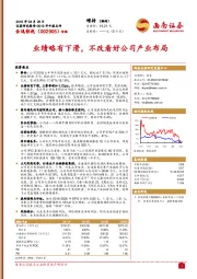业绩略有下滑，不改看好公司产业布局