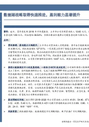 数据湖战略取得快速推进,盈利能力显著提升