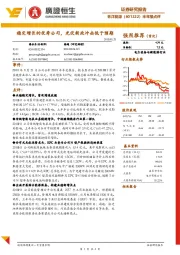 半年报点评：稳定增长的优秀公司，光伏新政冲击低于预期