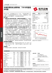 多重因素带来业绩阵痛，下半年有望逐步恢复