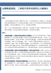 业绩略超预期,二季度归母净利润同比大幅增长
