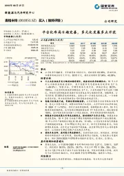 平台化布局日趋完善，多元化发展多点开花