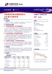 补贴退坡导致业绩短期承压 龙头集中优势明显