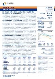 H1业绩增长符合预期，高端产品注入发展新动力