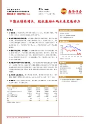 2018年半年报点评：中期业绩高增长，股权激励加码未来发展动力