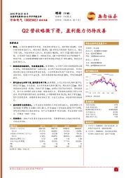 Q2营收略微下滑，盈利能力仍待改善