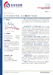上半年业绩低于预期,关注AMOLED产线进展