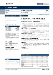 2018年中报点评：三安资产注入，半年业绩历史最高