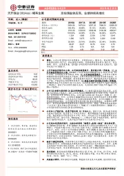 顶级锂盐供应商，业绩持续高增长