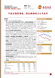 中报业绩高增速，股权激励助力公司成长