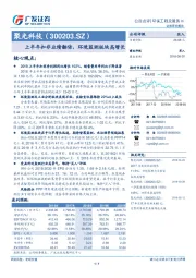 上半年扣非业绩翻倍，环境监测板块高增长