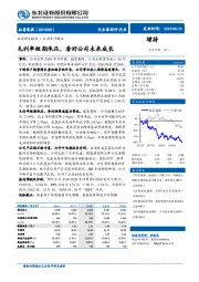 毛利率短期承压,看好公司未来成长