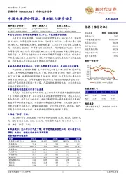 半年报点评：中报业绩符合预期，盈利能力逐步恢复