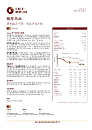 盈利能力下降，关注产能扩张