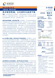 经历转型阵痛，云化国际化效果可期