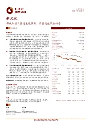 影视剧项目推进未达预期，商誉减值风险仍存