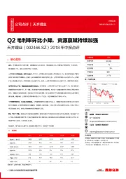 2018年中报点评：Q2毛利率环比小降，资源禀赋持续加强