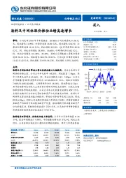 染料及中间体涨价推动业绩高速增长