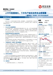 2018年半年报点评：上半年稳健增长，下半年产能投放带来业绩增量