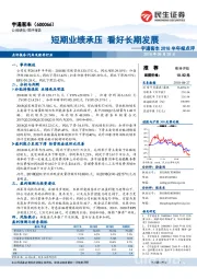 2018半年报点评:短期业绩承压 看好长期发展