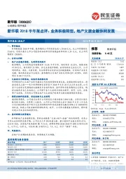 新华联2018半年报点评：业务积极转型，地产文旅金融协同发展